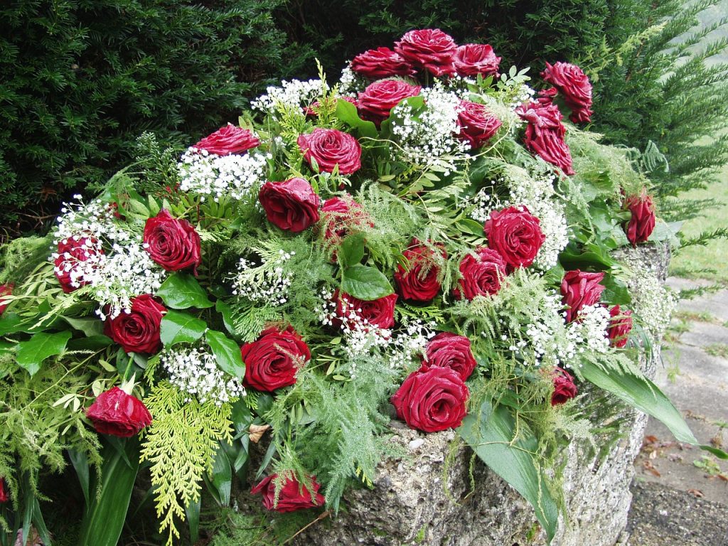roses, morning mist, cemetery